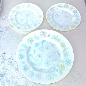 Minton Vintage China Matching Set of 3 Vanessa Plates 2 Salad & 1 Dinner England